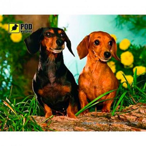 Килимок PODmыshku Такси