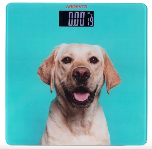 Ваги підлогові ARDESTO SCB-965DOG